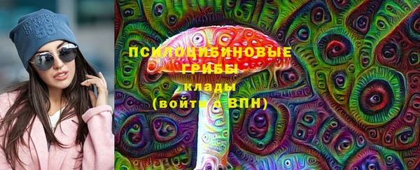 PSILOCYBIN Балабаново
