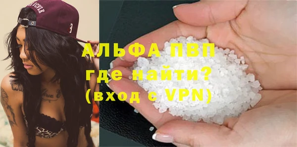 стаф Аркадак
