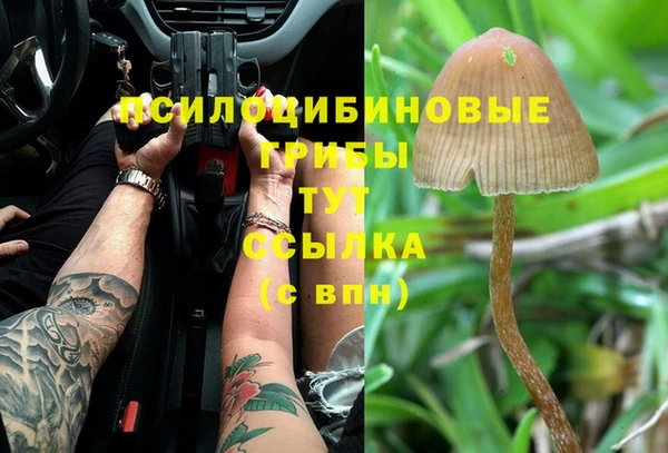 индика Баксан