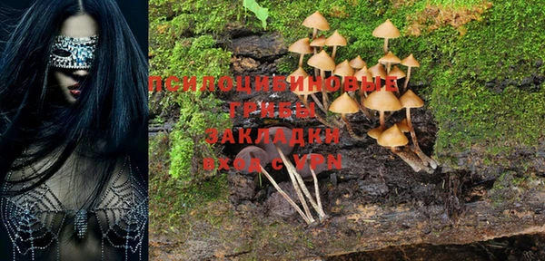 дурь Арсеньев