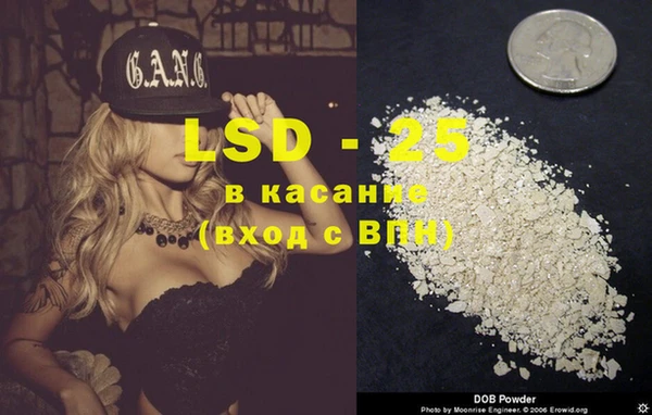 индика Баксан
