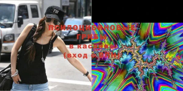 индика Баксан