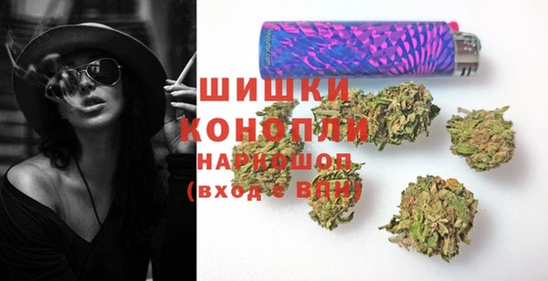 стаф Аркадак